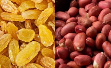 The combination of raisins and peanuts is very beneficial for health.